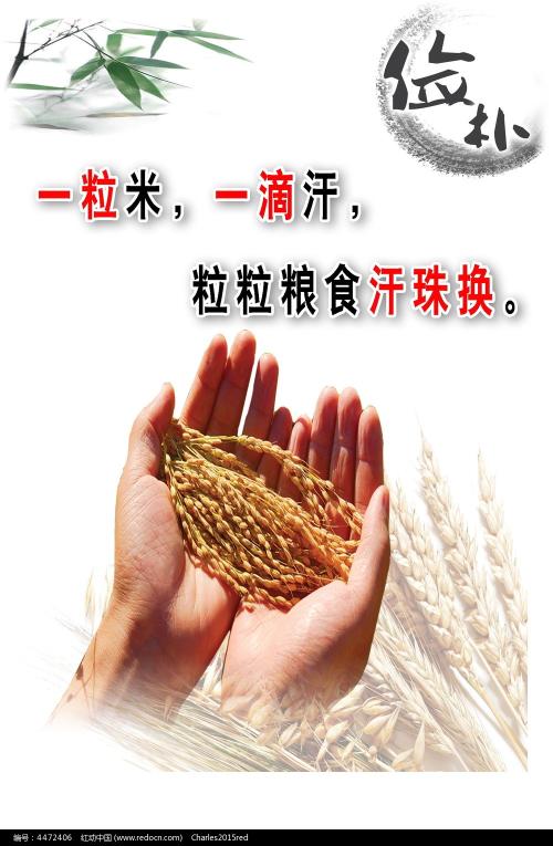 怎么买假的富国银行对账单